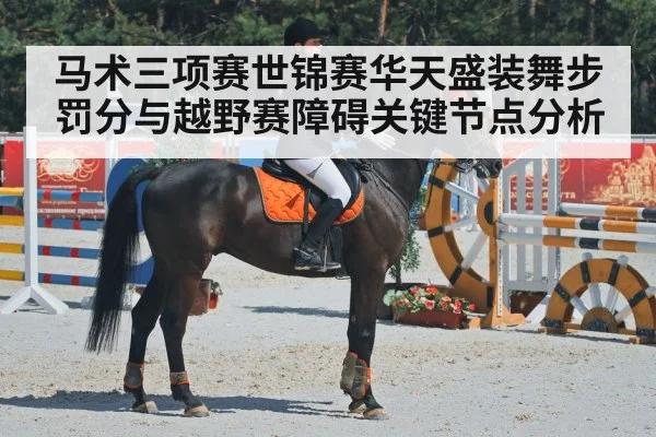 马术三项赛世锦赛华天盛装舞步罚分与越野赛障碍关键节点分析